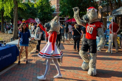 POP Back | #PackTheOval